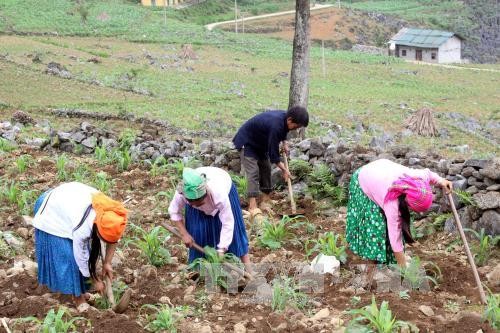 Etablir un plan de lutte contre la pauvreté - ảnh 1